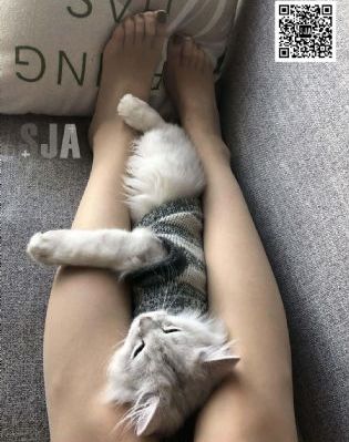 我和漂亮老师做爰4_迅雷手机免费观看