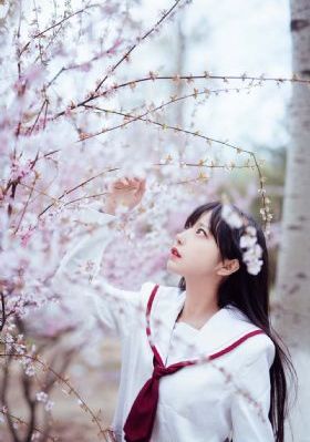 欧美成人性插_4K在线手机播放